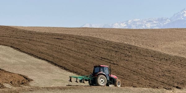 Сев пшеницы в Ноокате 2026: аграрии вышли в поле на 15 дней раньше изображение публикации