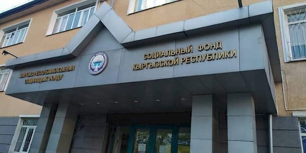 Тариф 1% для таксистов, новая АИС и пенсии мигрантам: Соцфонд подвел итоги 2025 года изображение публикации