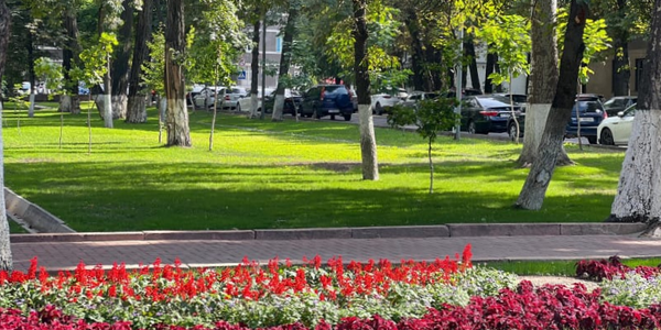 Где в Бишкеке обновят парки и скверы в 2026 году: полный список мэрии изображение публикации