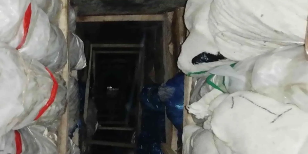 Россельхознадзор заблокировал ввоз 143 тысяч саженцев из Кыргызстана изображение публикации