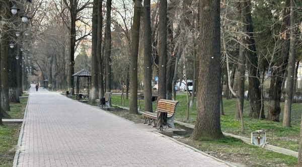 Зачем нумеруют деревья на бульваре Эркиндик: ответ «Бишкекзеленстроя» изображение публикации