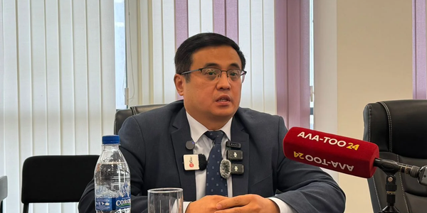 Садыр Жапаров назначил Бакыта Кадырова новым генконсулом в Анталье изображение публикации