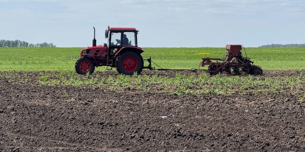 Кыргызстан начал весенний сев на площади в 1.25 млн гектаров изображение публикации