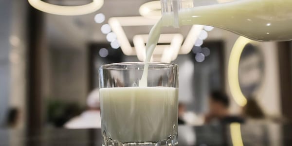 Строительство и монтаж оборудования на заводе «Экопродукт Азия» в Шопокове.