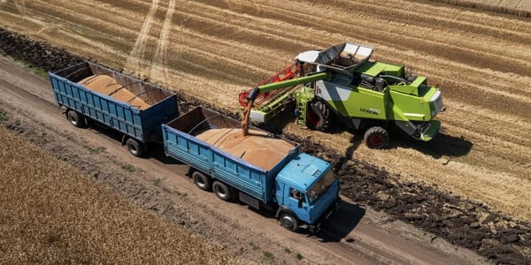 Как кооперативам КР поднять урожайность на 35%, рассказали в Минсельхозе изображение публикации