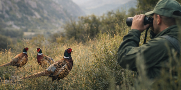 Невидимые камеры и GPS: как цифровой мониторинг спасает дикую природу Кыргызстана изображение публикации