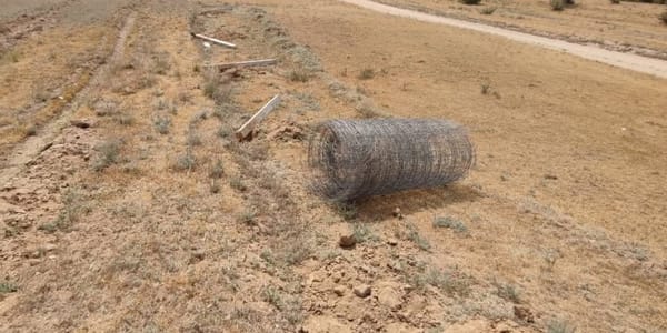 Сельскохозяйственные угодья в Сокулукском районе Чуйской области.
