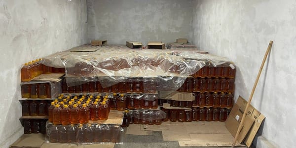 «Шабане» планирует расширить производство сафлорового масла в КР по полному циклу изображение публикации