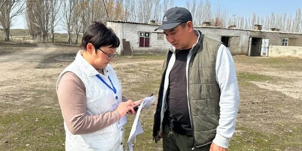 В Кыргызстане открыли горячую линию по сельхозпереписи: контакты изображение публикации