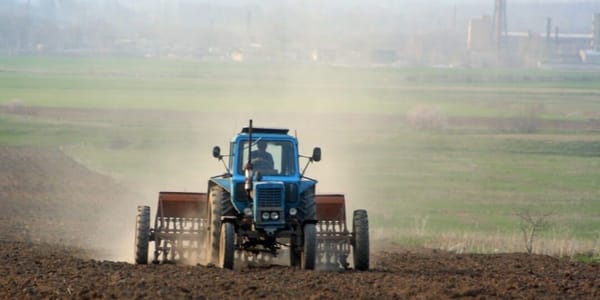 Посевная-2026: в Кыргызстане планируют засеять 1.25 млн гектаров изображение публикации