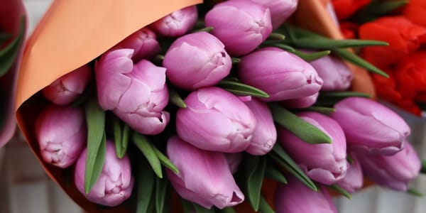 Кыргызстан удвоил экспорт цветов: главный покупатель — Узбекистан изображение публикации