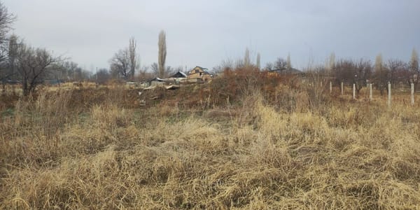 В Чуйской области в госсобственность вернули участок площадью 1 076 м² изображение публикации