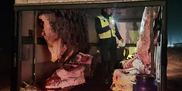 На рынках Бишкека выявили перевозку мяса без документов изображение публикации