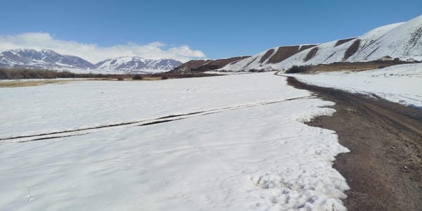 Возврат незаконно приватизированных земель в Жумгале 2026