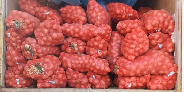 Из Казахстана в КР не пустили 25 тонн лука из-за отсутствия обязательной маркировки