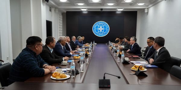 Система «Электронный консул» в четыре раза ускорила выдачу документов в Кыргызстане — МИД изображение публикации