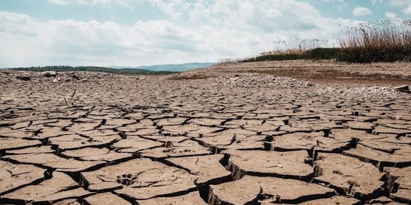 Водный кризис и опустынивание в Центральной Азии: Казахстан вводит жесткие лимиты на полив изображение публикации