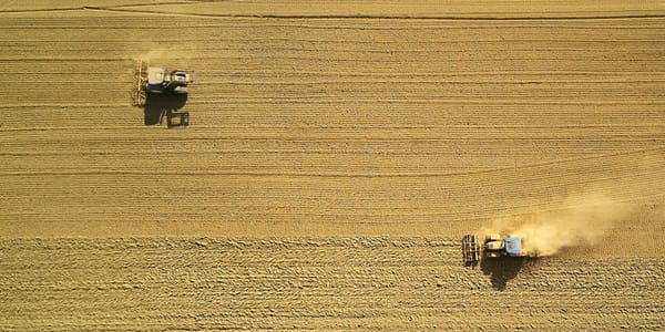 Дроны, вертикальные фермы и новые семена: как изменится агросектор Кыргызстана изображение публикации