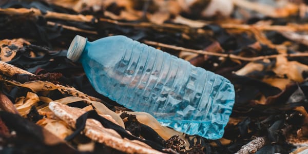 Бонусы за бутылки и ESG-статусы: ритейл Кыргызстана готовится отказаться от пластика изображение публикации