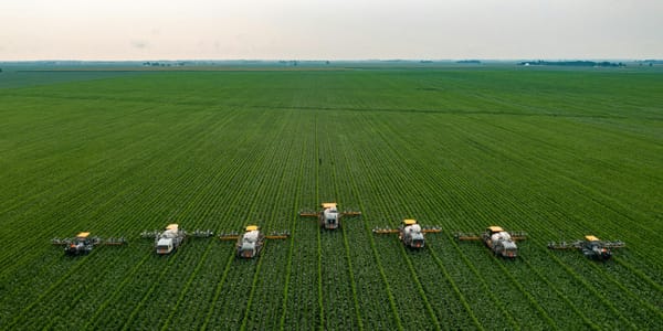 В Кыргызстане пересчитают землю, скот и технику: стартовала сельхозперепись изображение публикации