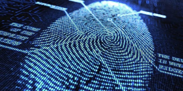 В Кыргызстане утвердили Положение о Единой системе идентификации изображение публикации