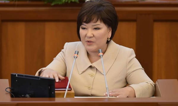 Депутат Рада Туманбаева оказалась владелицей бизнеса изображение публикации