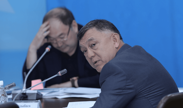 Строительную компанию и цех производству кожаных изделий не указал в декларациях депутат Пархат Тулендыбаев изображение публикации