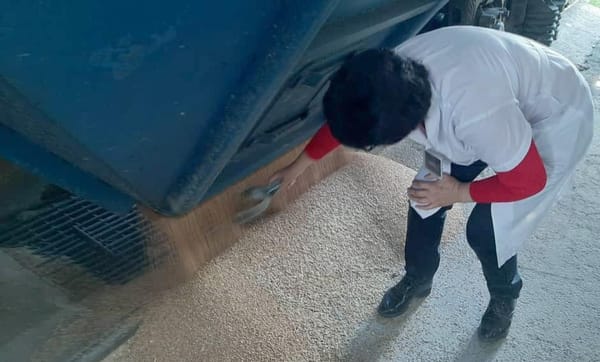 В Кыргызстан доставлено еще 760 тонн пшеницы из России изображение публикации