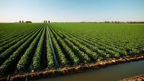 ЕБРР даст €70 млн на  восстановление ирригационных систем в регионах изображение публикации