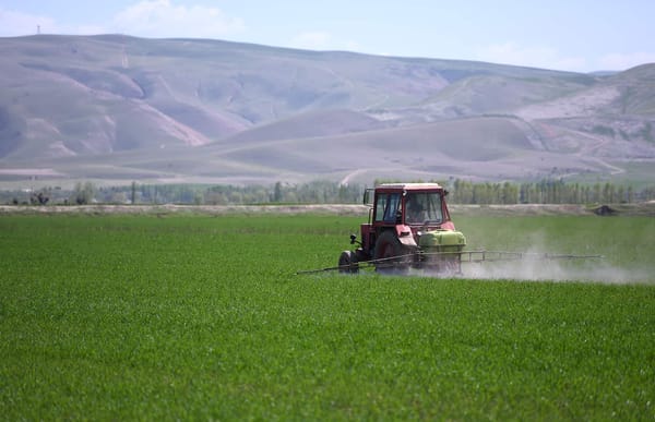 Пандемия не сильно затронула в КР сельское хозяйство и «Кумтор» — Нацбанк изображение публикации