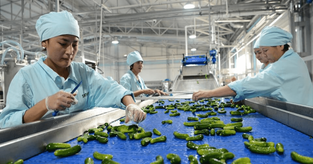 РКФР одобрил лимит банковских гарантий для консервного завода «Прод Импекс» изображение публикации