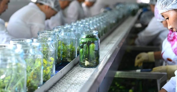 РКФР дал оборотные средства консервному заводу «Дар земли» изображение публикации