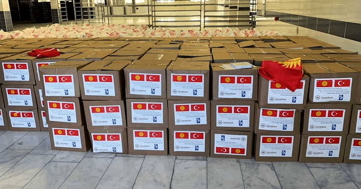 Турция отправит в Кыргызстан аппараты ИВЛ, кислородные концентраторы и лекарства изображение публикации