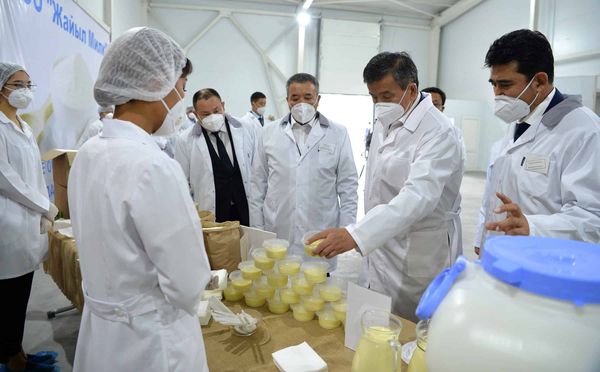 Президент посетил крупный молочный завод, запущенный во время пандемии. ФОТО изображение публикации