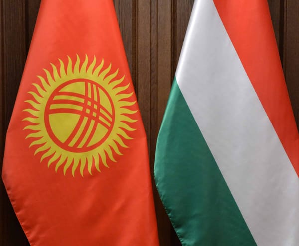 Кыргызско-Венгерский фонд развития поможет бизнесу КР в период постпандемии — Жээнбеков изображение публикации