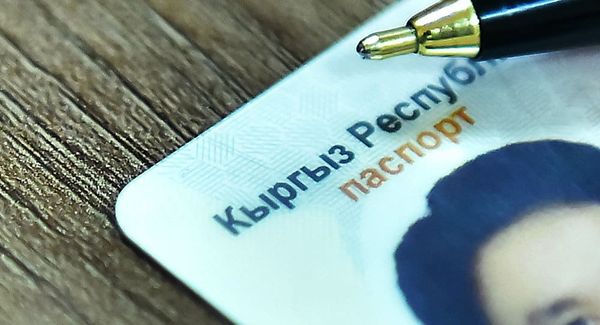 Включение графы «национальность» в паспорта не приведет к дополнительным расходам — ГРС изображение публикации