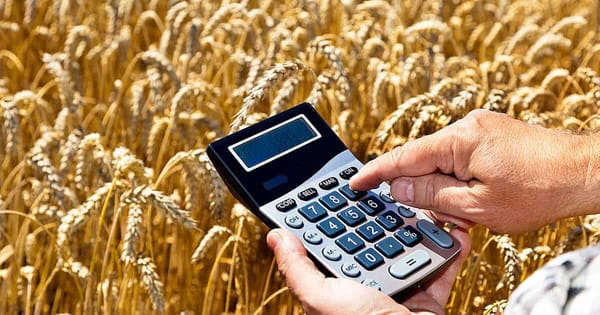 Экспорт сельхозпродукции КР сократился на 6% — Минсельхоз изображение публикации