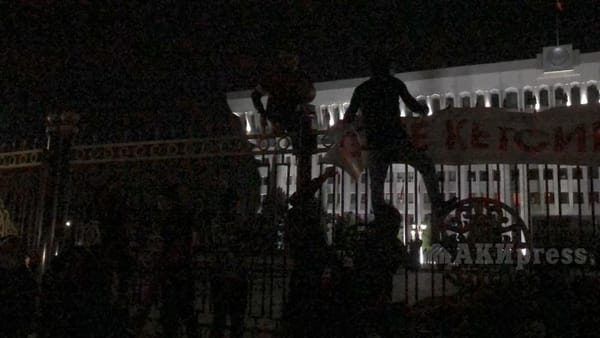 Партия «Реформа»: Белый Дом пытались захватить провокаторы изображение публикации