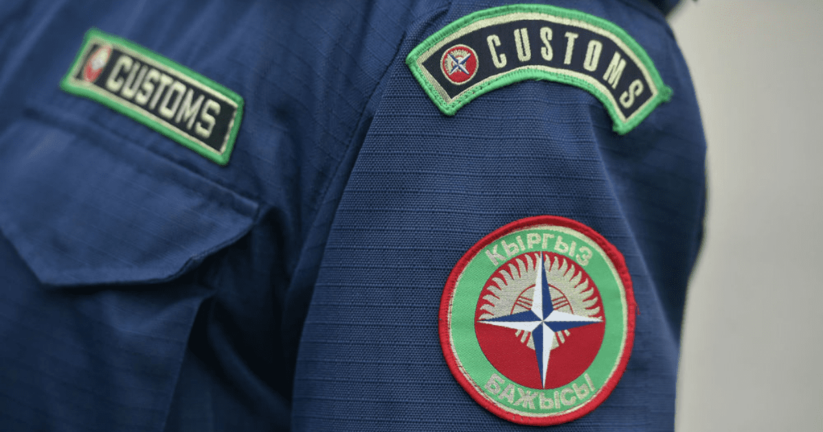 В МВД подтвердили, что таможенники не должны находиться на избирательных участках изображение публикации