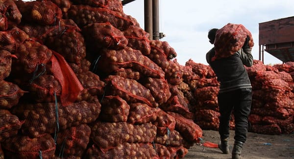 На льготное кредитование фермеров в 2020 году ушло 7 млрд сомов — Токтогазиев изображение публикации