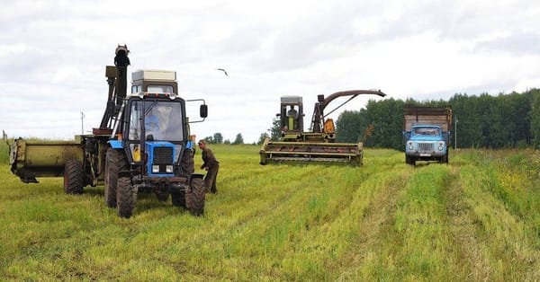 Кабмин заявил, что держит на особом контроле распределение  10 млрд сомов для агрокредитования изображение публикации