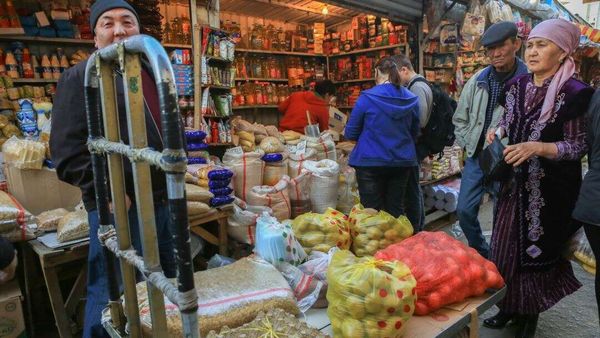 Кыргызстан обеспечивает себя только молоком и картошкой — Туратбек Укубаев изображение публикации