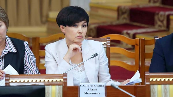 Айжан Садыркулова назначена и.о. председателя Счетной палаты изображение публикации