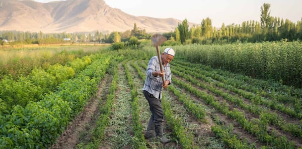 Халяльные продукты и дешевые кредиты. Подписан указ по развитию сельского хозяйства изображение публикации