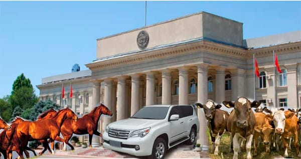 Топ-3 богатых министра. Чем владеют члены правительства и сколько зарабатывают изображение публикации