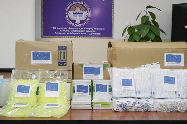 Евросоюз передал Кыргызстану наборы на 8 тысяч ПЦР-тестов изображение публикации