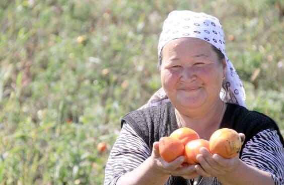 USAID выделит $15 млн на развитие сельхозпредприятий в южных регионах Кыргызстана изображение публикации