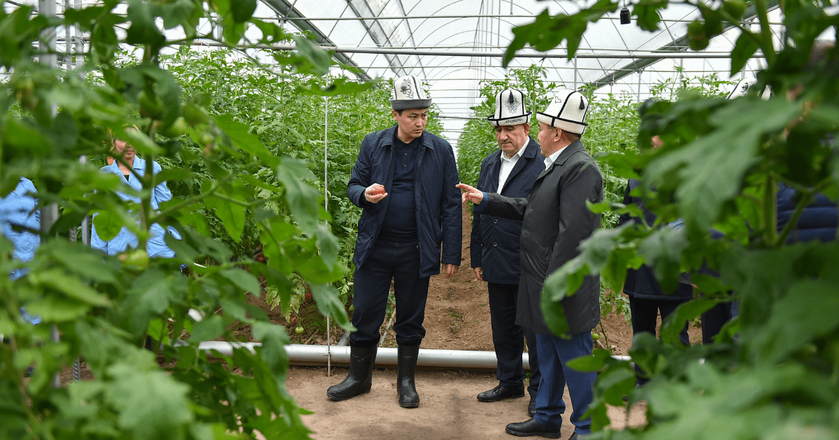 Соки завозят из-за рубежа, а местные яблоки гниют — Марипов призвал покупать отечественное изображение публикации