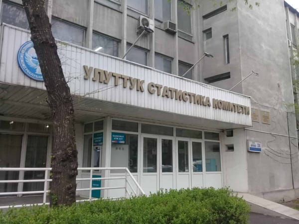 В Нацстаткоме выявили потери бюджета на 13 млн сомов изображение публикации