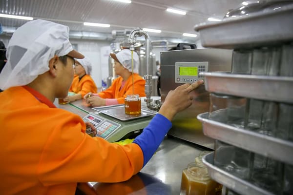 Японская компания планирует увеличить импорт кыргызского меда до 50 тонн изображение публикации